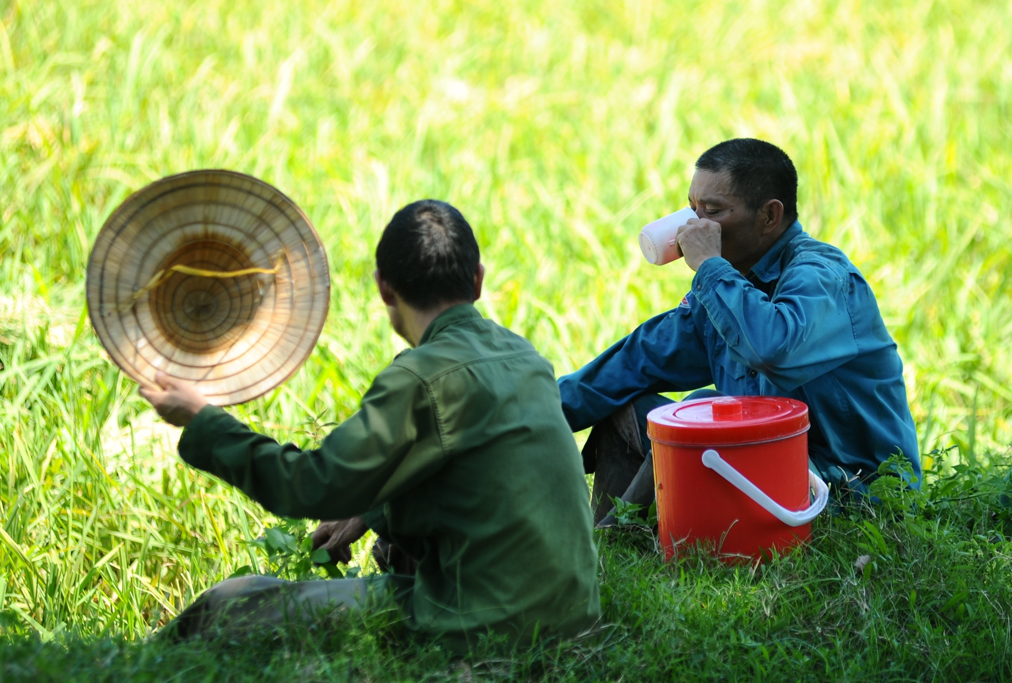 Mot nguoi Viet tieu thu gan 100 kg gao moi nam anh 1