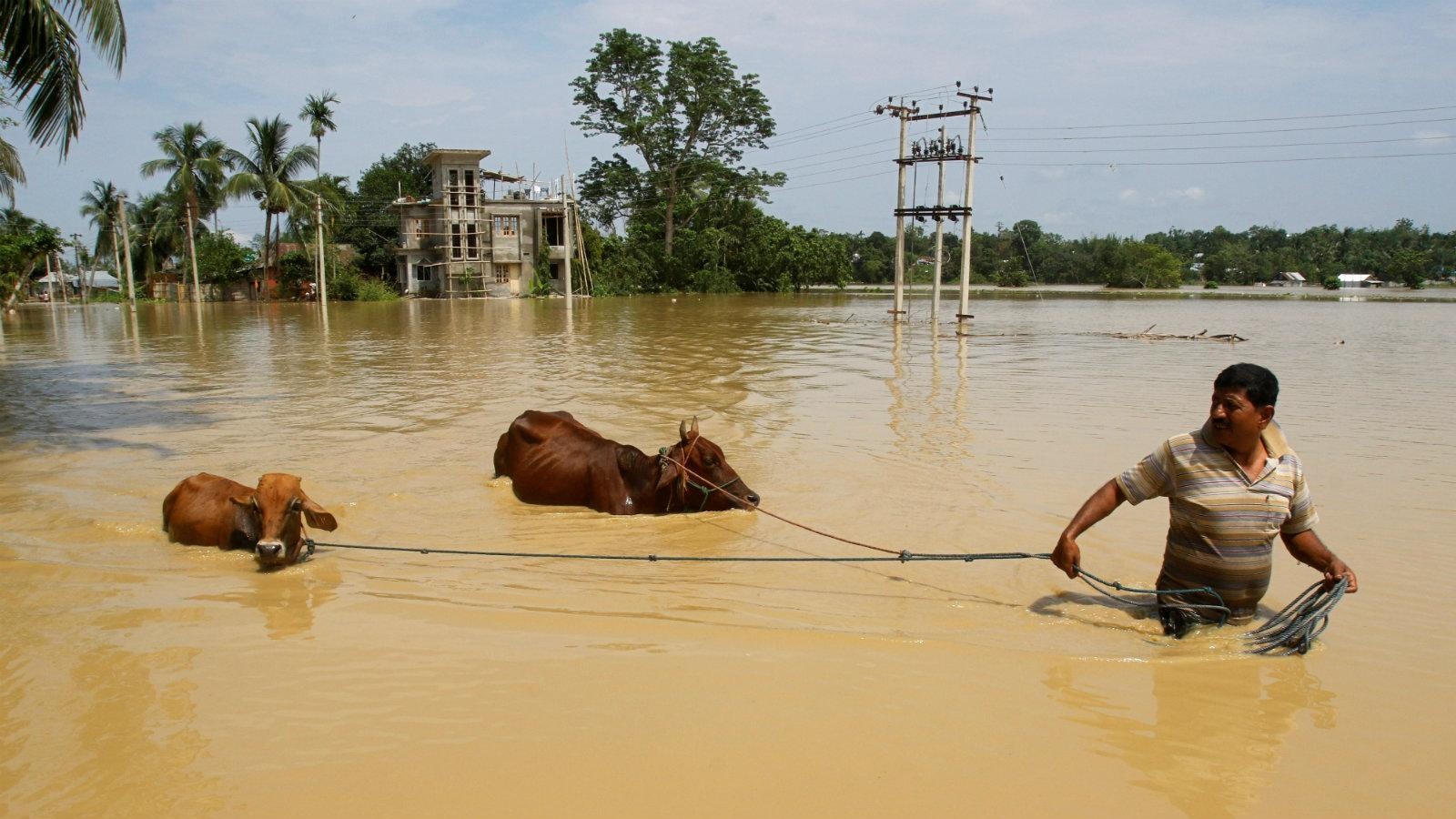 Kinh te An Do lao dao vi bien doi khi hau anh 1