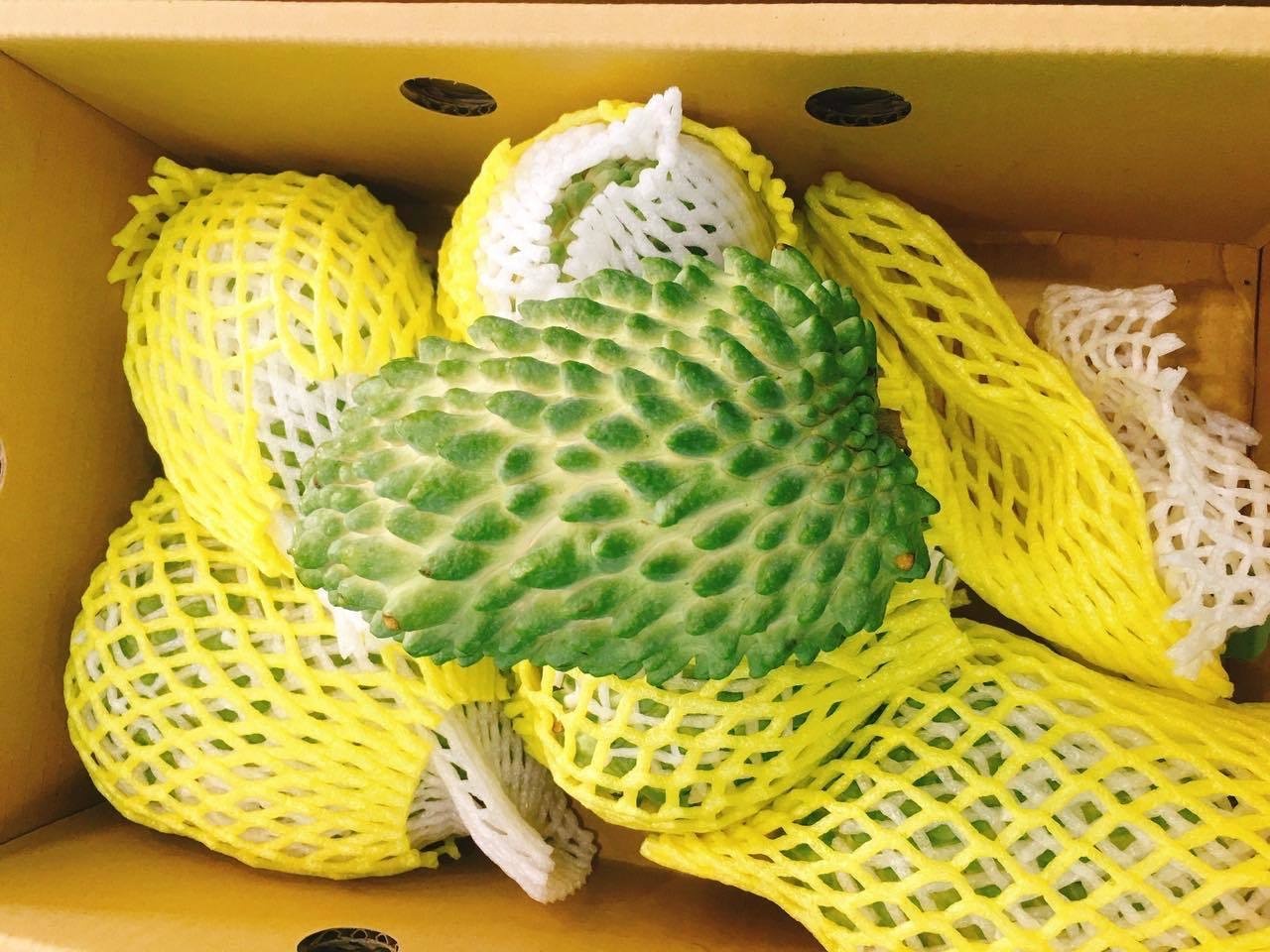 Quả na khổng lồ rực mùi sầu riêng gây sốt ở Hà Nội ảnh 1 Qua na khong lo ruc mui sau rieng gay sot o Ha Noi anh 1