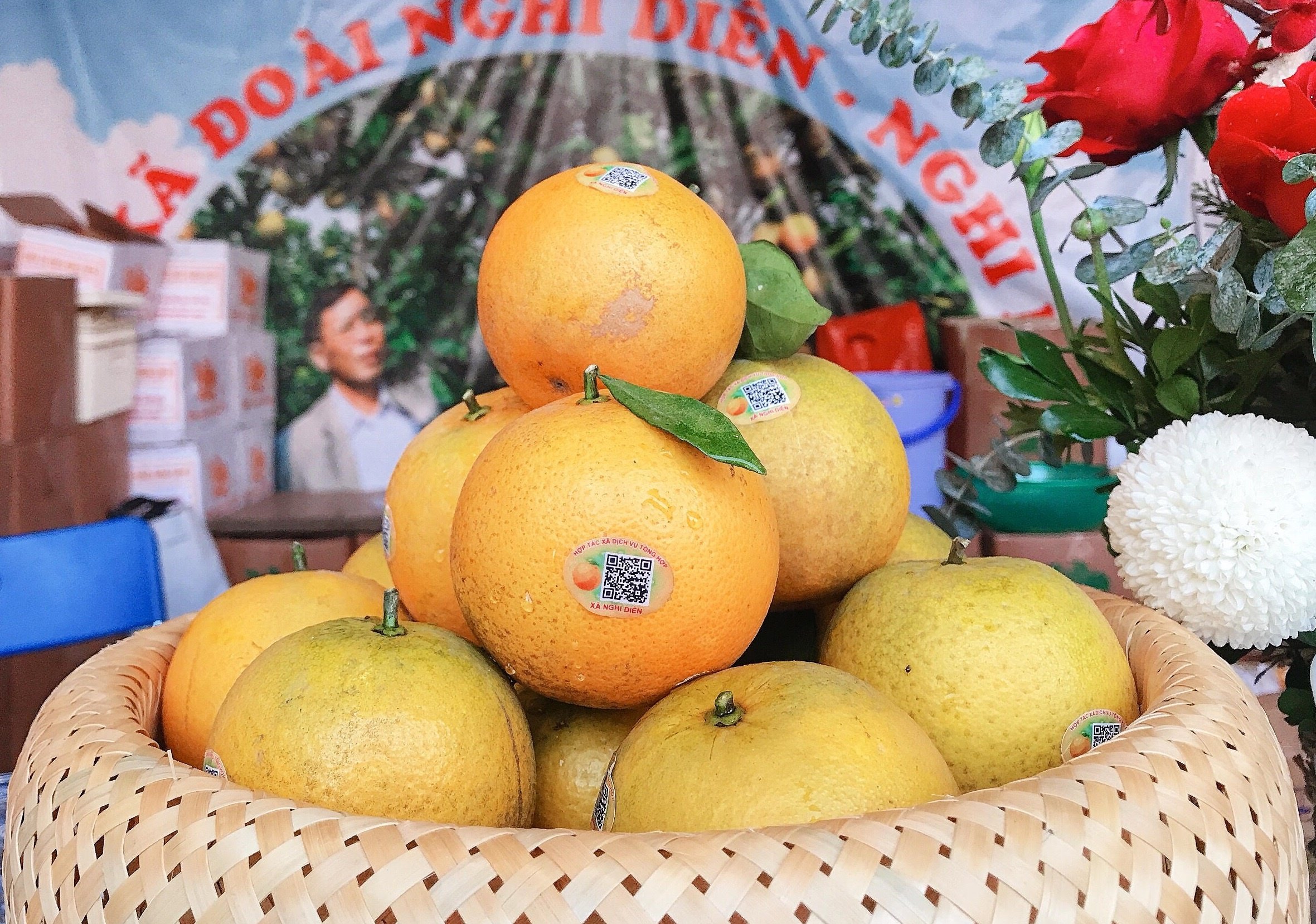 Cam Xa Doai 100.000 dong, moi nguoi chi duoc mua 2 qua hinh anh