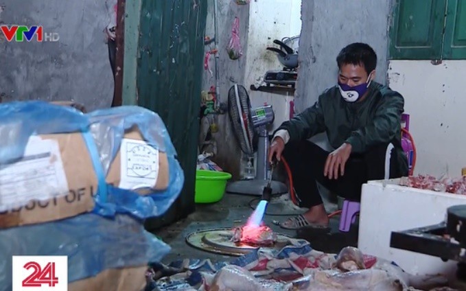 Hon 1 tan ga tay hoi thoi duoc kho de tuon ra thi truong hinh anh