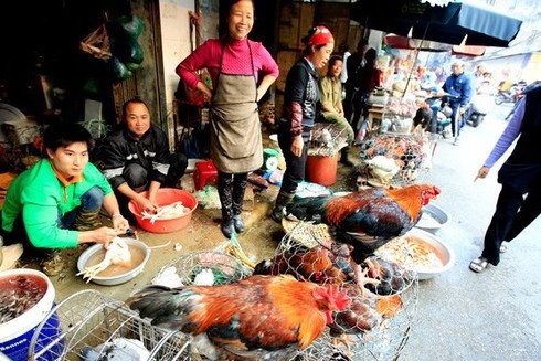 Tu 1/1/2020, khong duoc de vat nuoi chung kien dong loai bi giet mo hinh anh