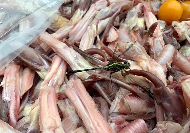 Hang tan luoi vit, nam Trung Quoc lau tai san sieu thi MM Mega Market hinh anh