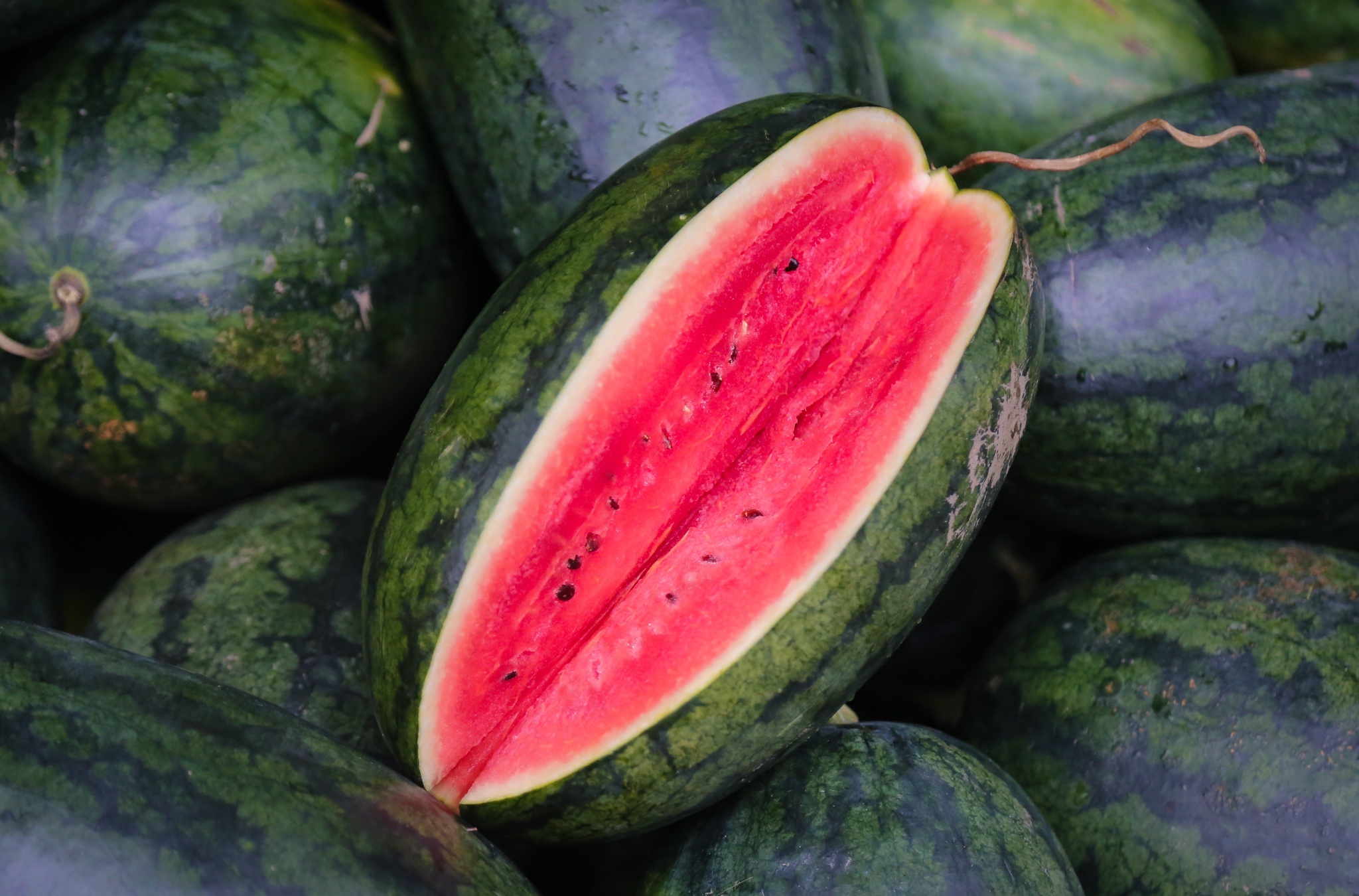 Se giam 20% phi luu kho bai cho nong dan de tieu thu nong san hinh anh