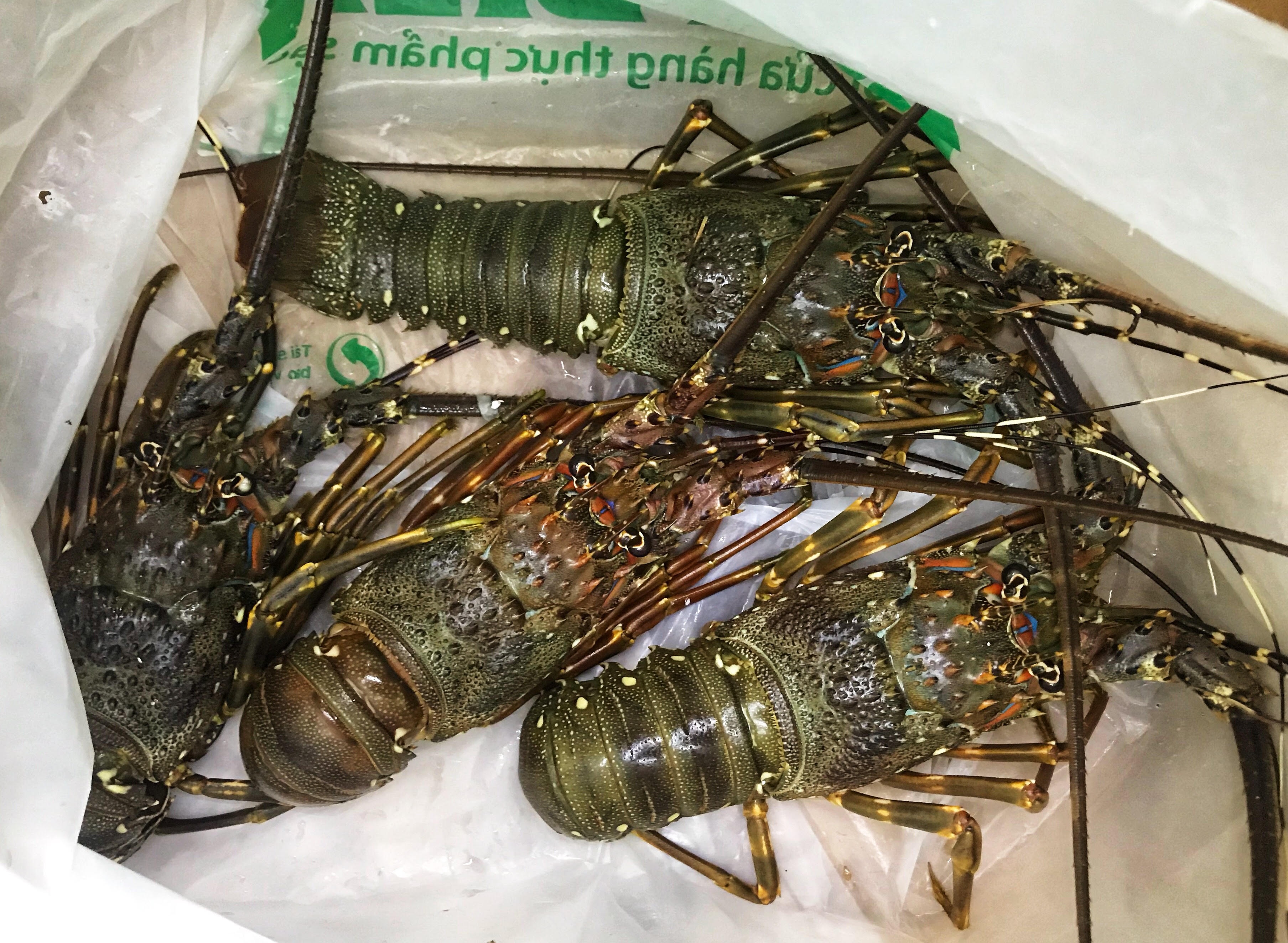 'Muon giai cuu tom hum, toi 5 lan 7 luot duoc hen hom sau' hinh anh