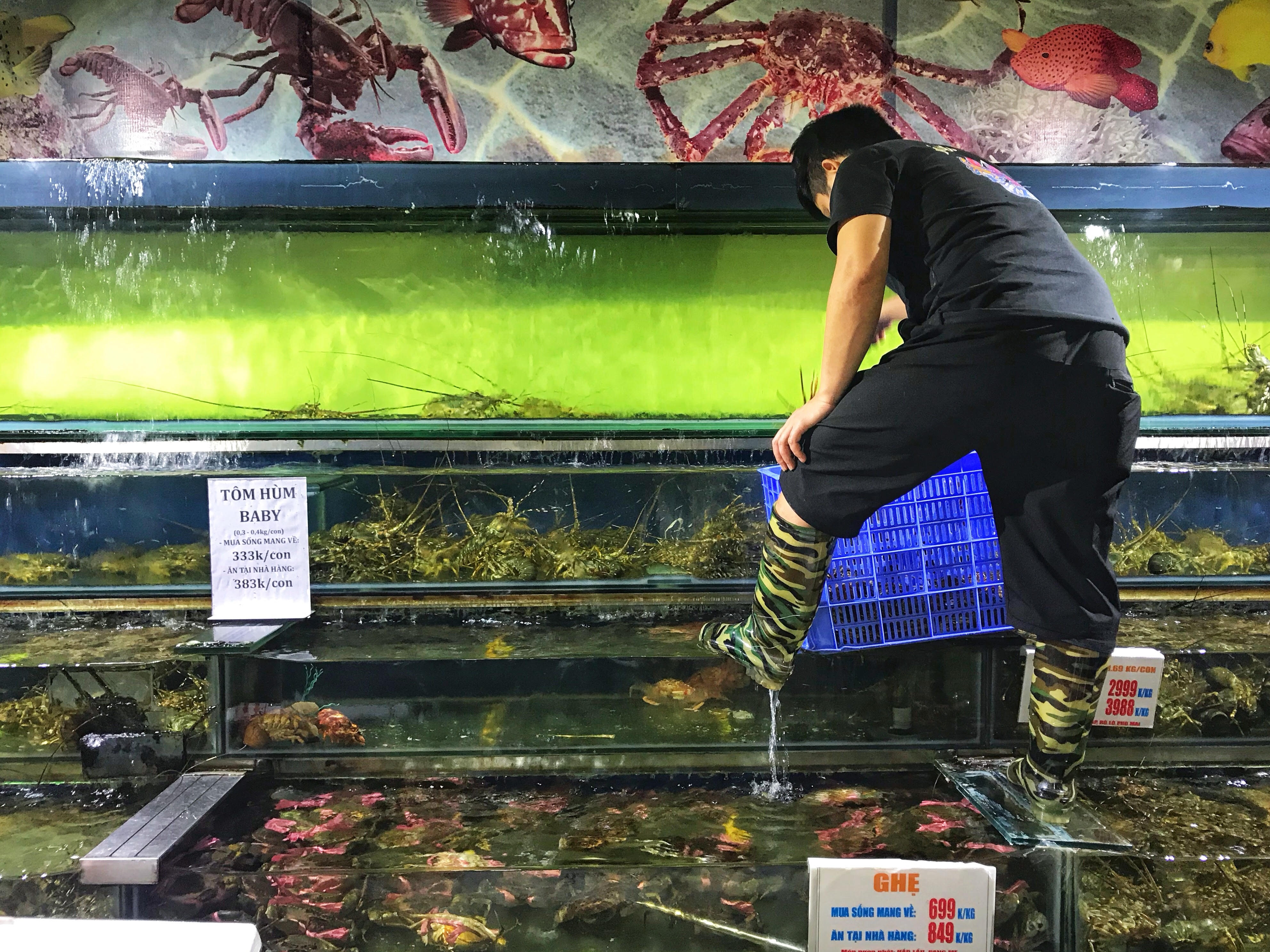 Gia ‘giai cuu tom hum’ tang manh anh 1