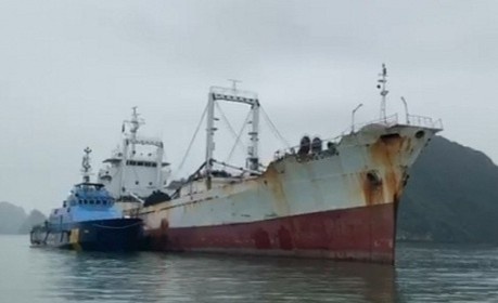 Bat giu lo thuoc la lau lon nhat tu truoc den nay tai Vinh Bac Bo hinh anh