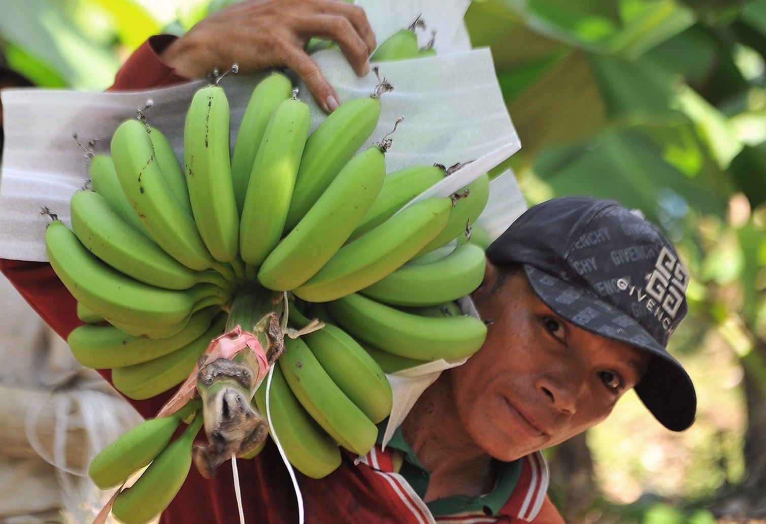 Bo NN&PTNT: Trung Quoc se chi phoi dau ra cua nong san Viet hinh anh