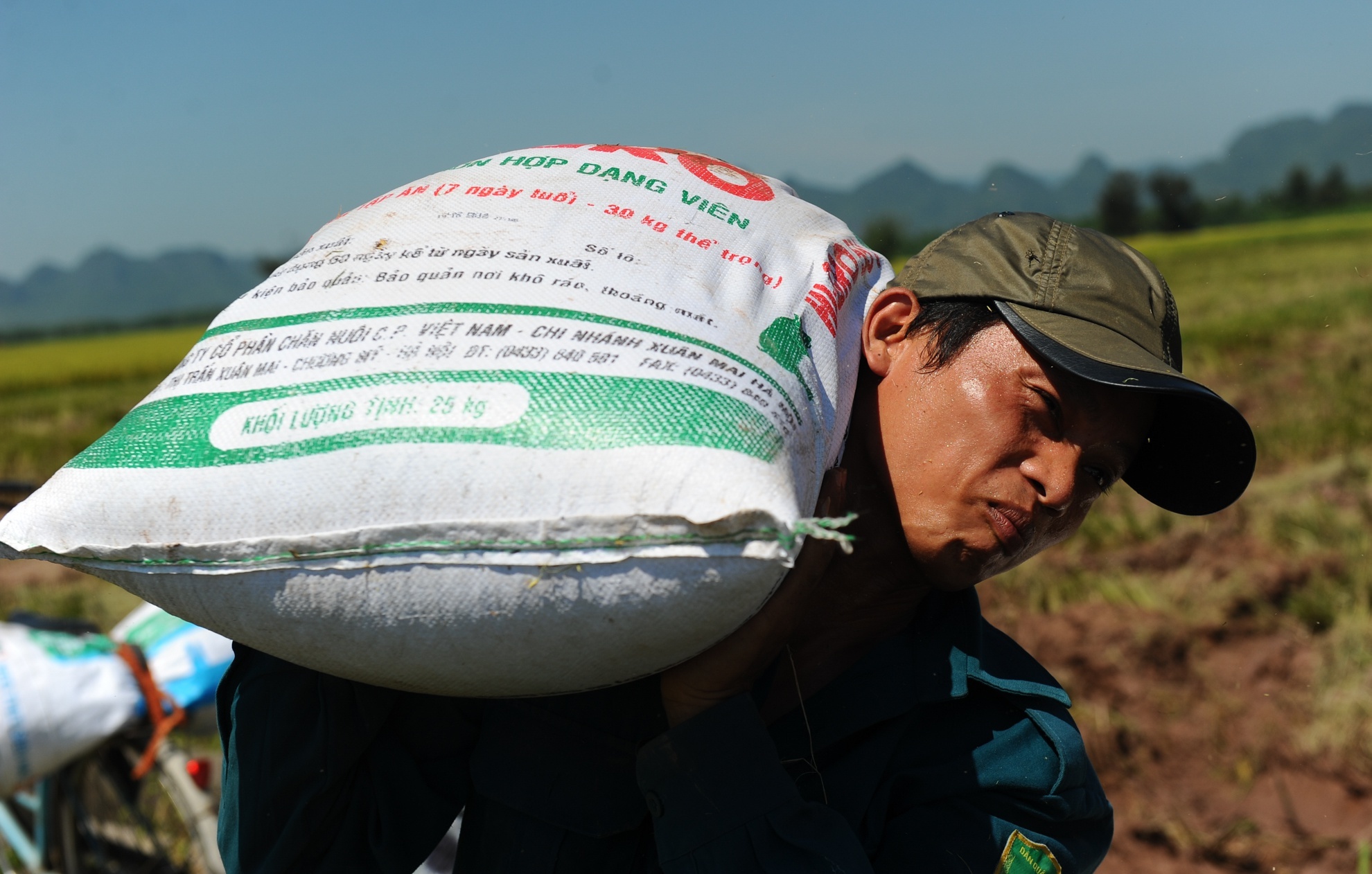 Bo Cong Thuong xin tiep tuc xuat khau gao sau khi de xuat dung hinh anh