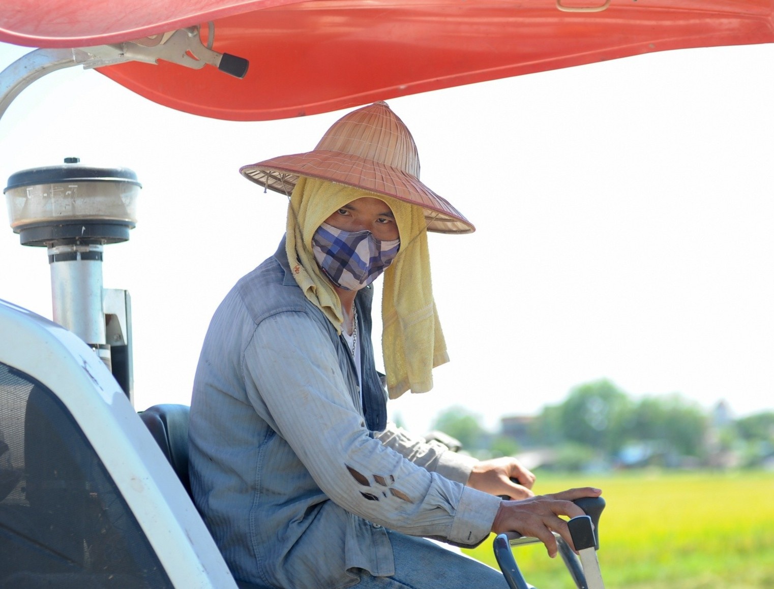 Thu tuong: Tam dung ky hop dong xuat khau gao moi hinh anh