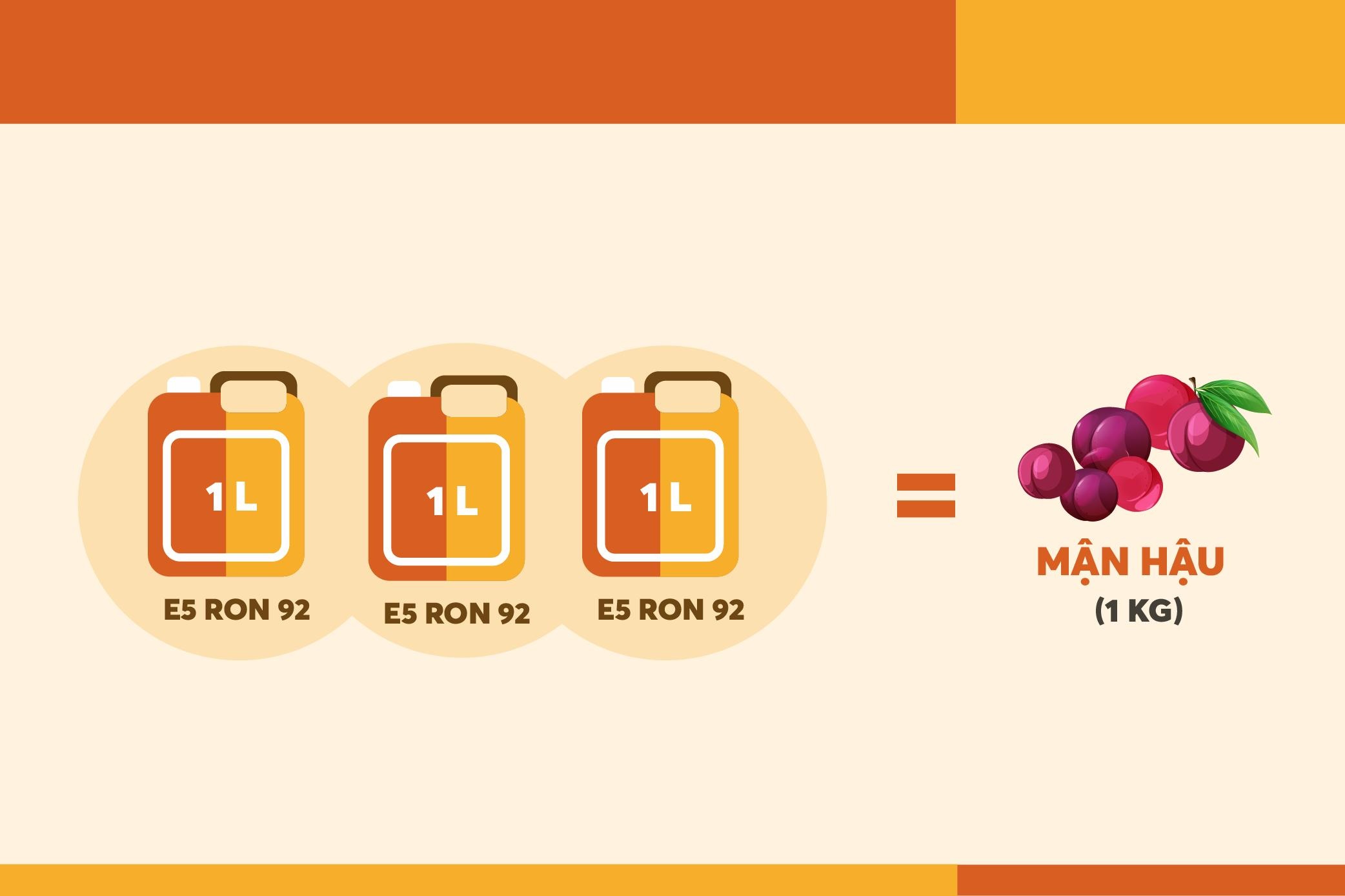 Gia 1 lit xang khong du mua 100 g thit lon anh 8