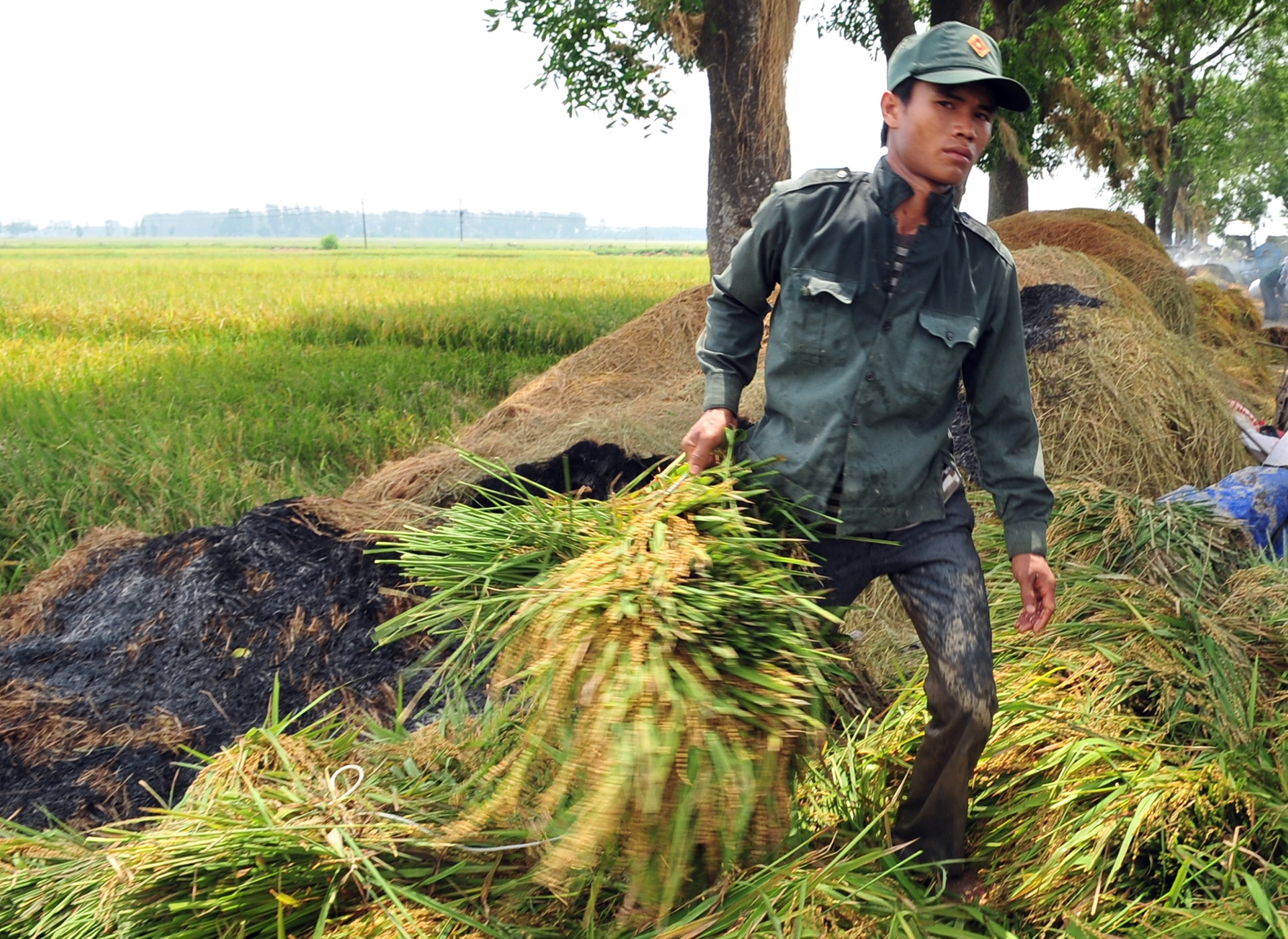 Bo Cong Thuong lap doan kiem tra lien nganh ve xuat khau gao hinh anh