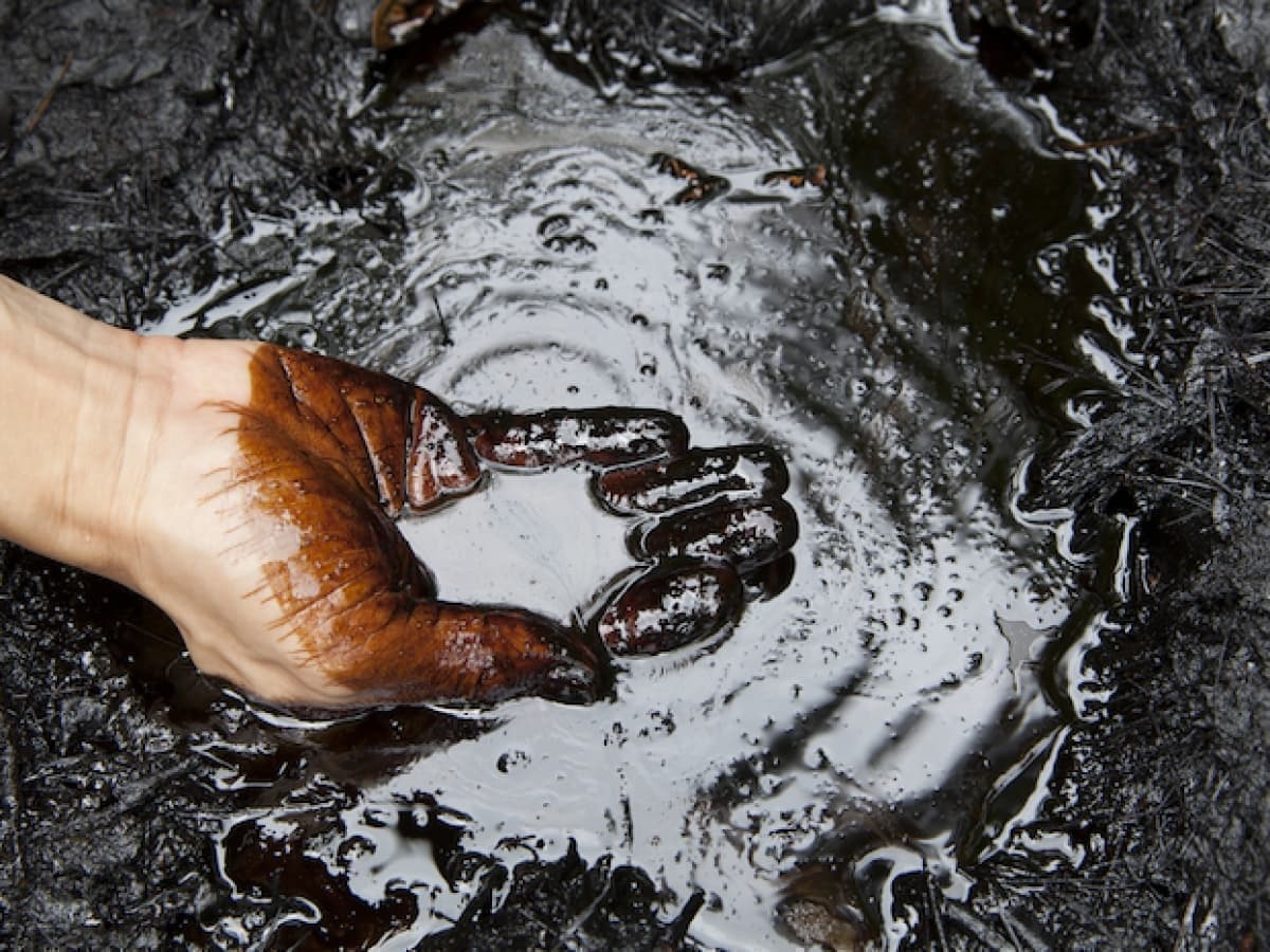 Gia dau xuong thap nhat ke tu nam 1999 hinh anh