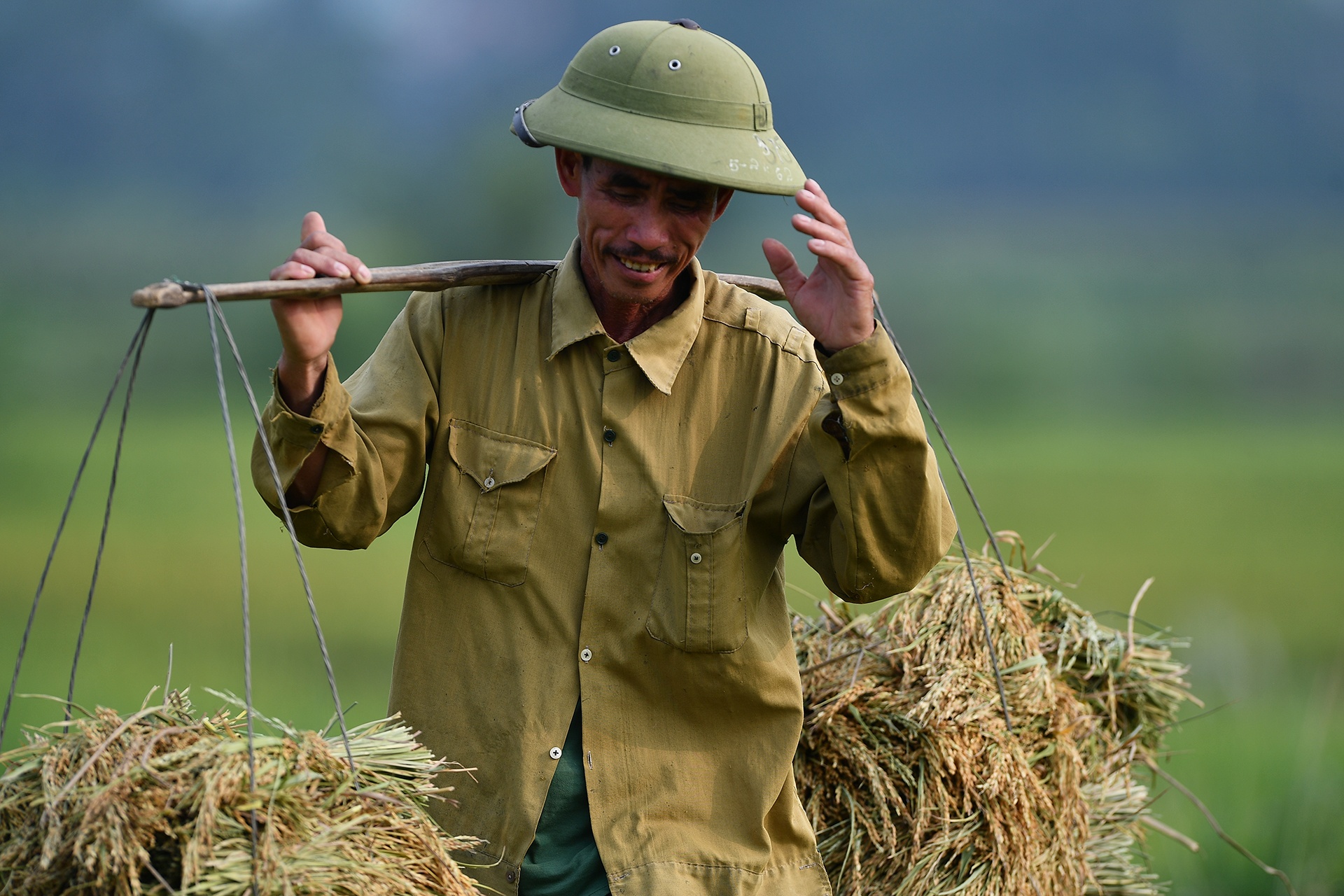 Gao Viet xuat sang Anh ban gia gan 50.000 dong/kg hinh anh