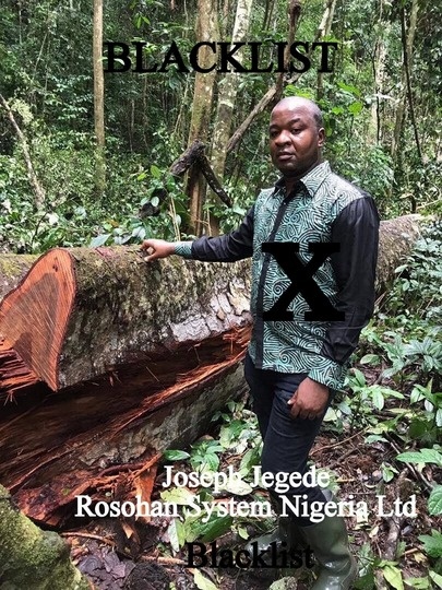 Doi tuong tai Nigeria lua mot doanh nghiep Viet 86.000 USD anh 1