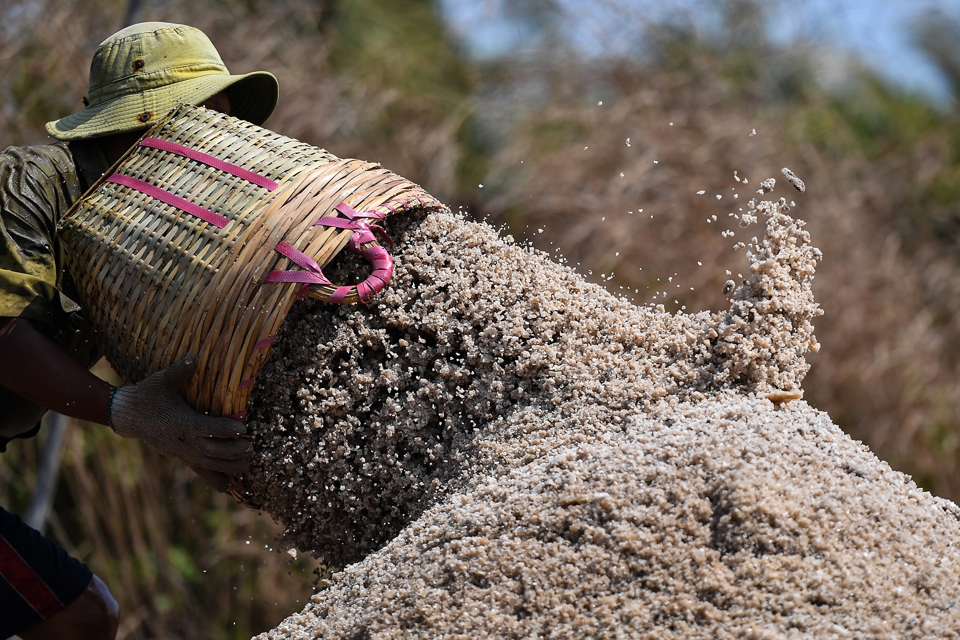 GDP nganh nong nghiep dat 2, 65% anh 1