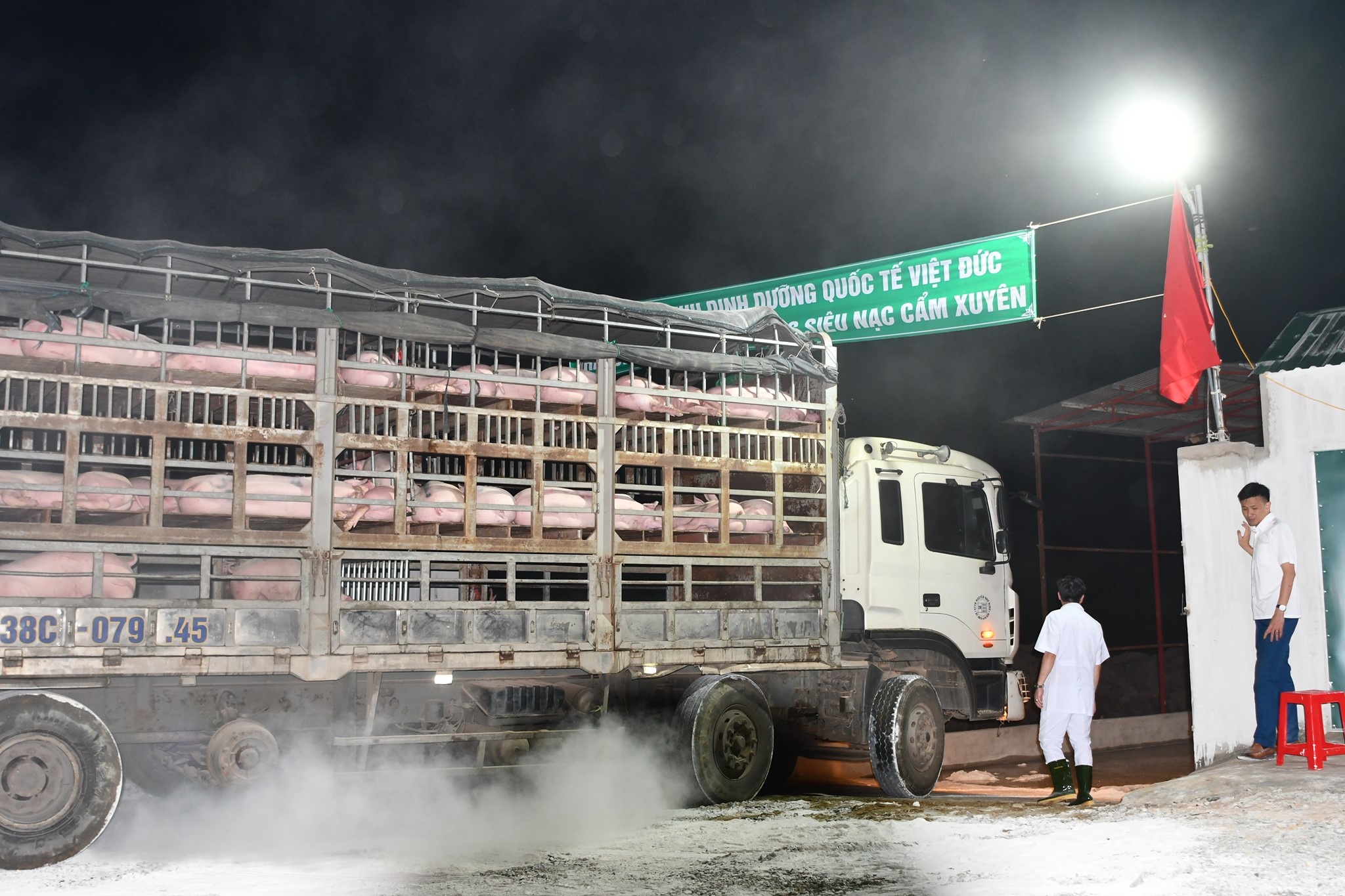 Lo lon bo me nhap khau dau tien ve Viet Nam anh 1