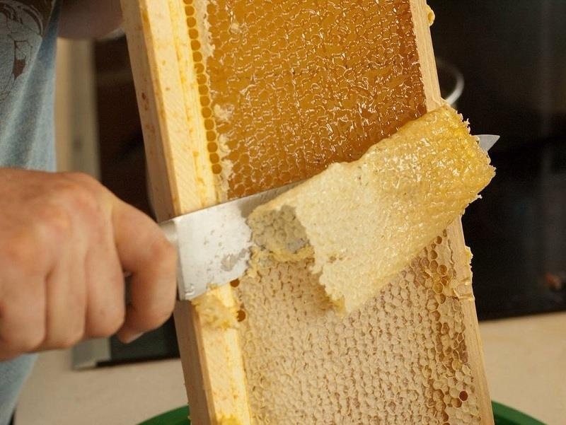 Mat ong hoa nhan hut khach hinh anh