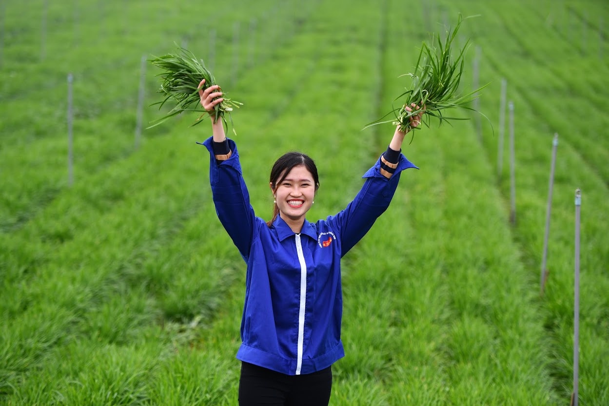 Hang nghin doanh nghiep tro lai hoat dong sau gian cach xa hoi anh 1
