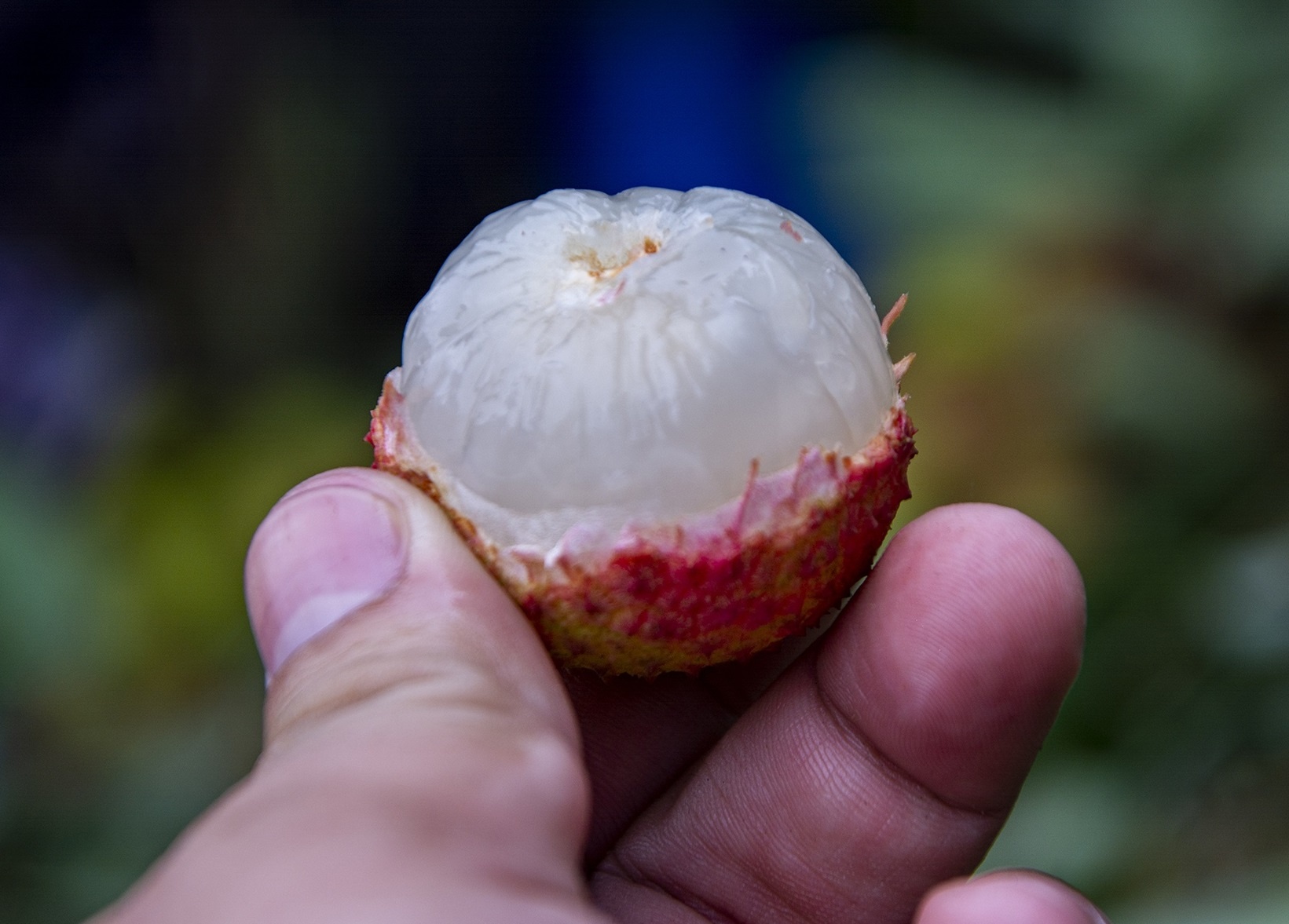 Vai thieu gia re mot nua, nguoi mua van dan do hinh anh