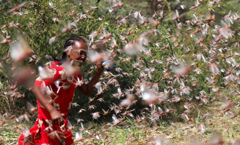 Ba kich ban ung pho chau chau sa mac xam nhap vao Viet Nam anh 2