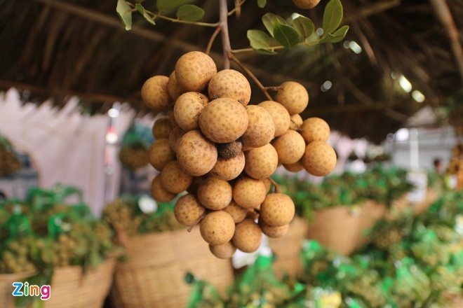 Chuyen gia My se sang Viet Nam giam sat nong san xuat khau anh 1