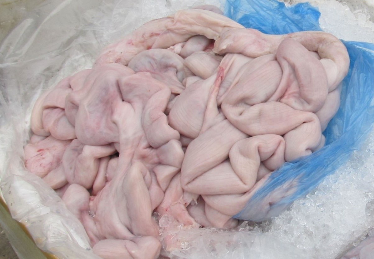 24 tan long lon nhiem dich ta chau Phi suyt tuon ra thi truong hinh anh