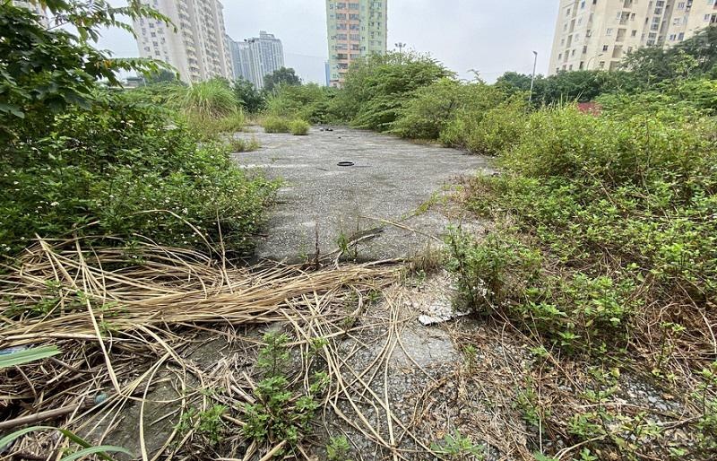 Kiem tra hon 300 du an bo hoang tai Ha Noi hinh anh