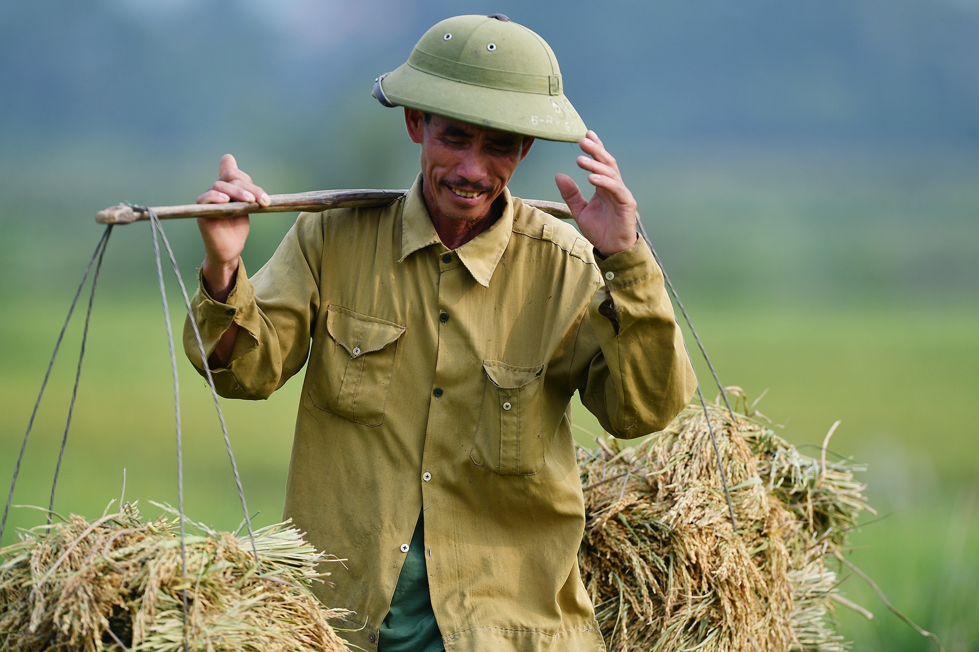 Xuat khau gao, rau qua vao EU tang vot hinh anh