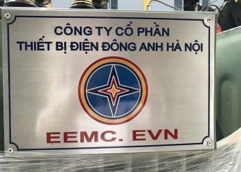 EVN thoai von 13,1 trieu co phan tai Thiet bi dien Dong Anh hinh anh