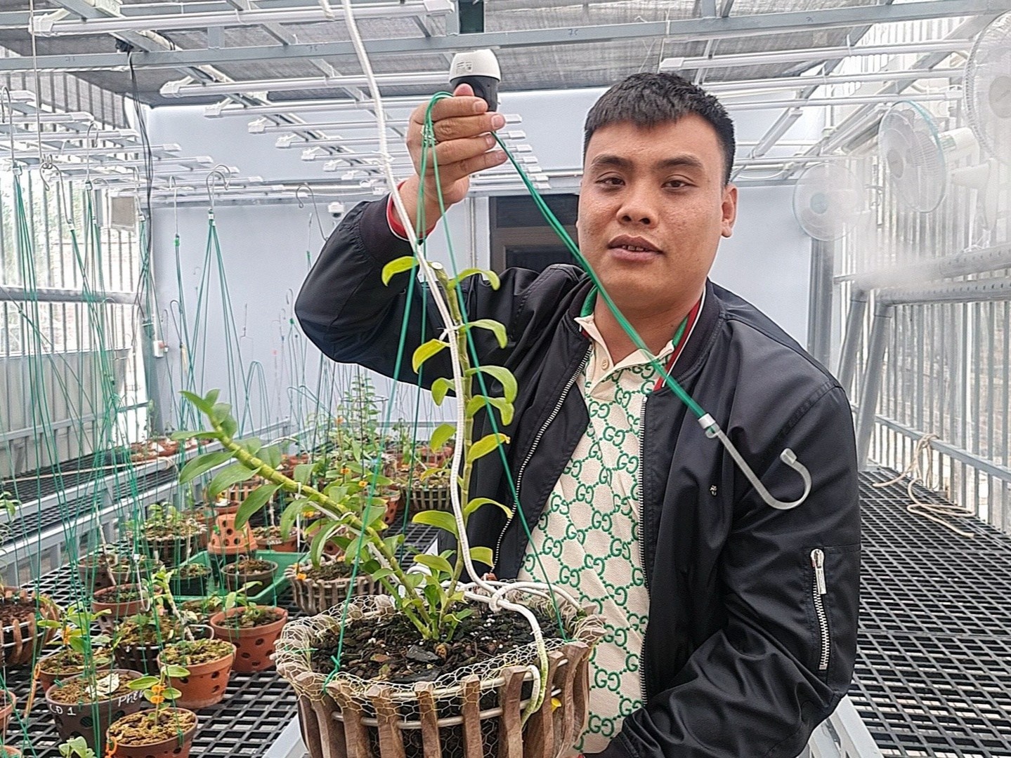 Tong cuc thue: Chua xac dinh duoc dong tien vu mua lan dot bien 300 ty hinh anh