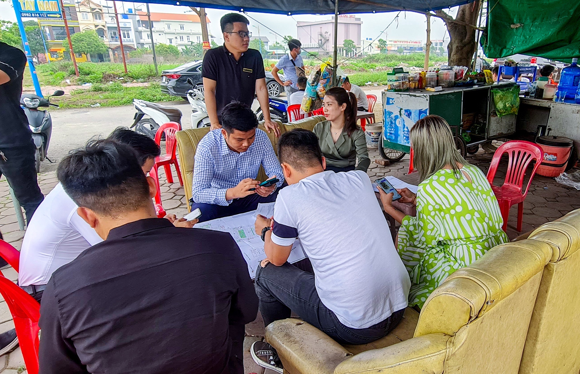 Xay dung du lieu quoc gia ve gia co kim duoc con sot dat? hinh anh