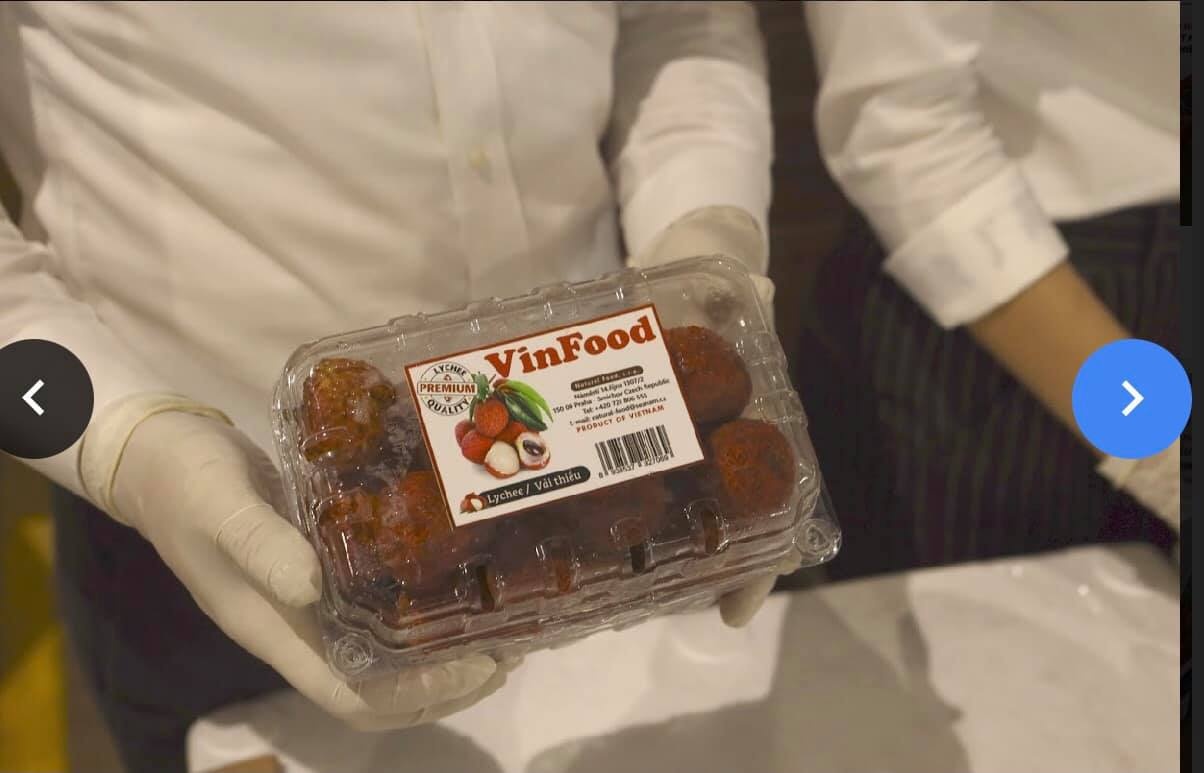 Vai thieu Thanh Ha ‘di may bay’ sang chau Au anh 1