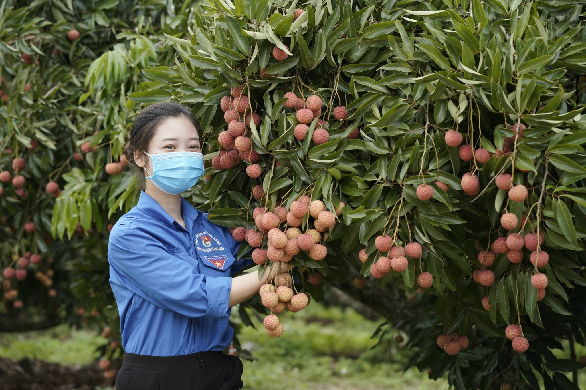Vai thieu Thanh Ha duoc xuat khau sang chau Au hinh anh