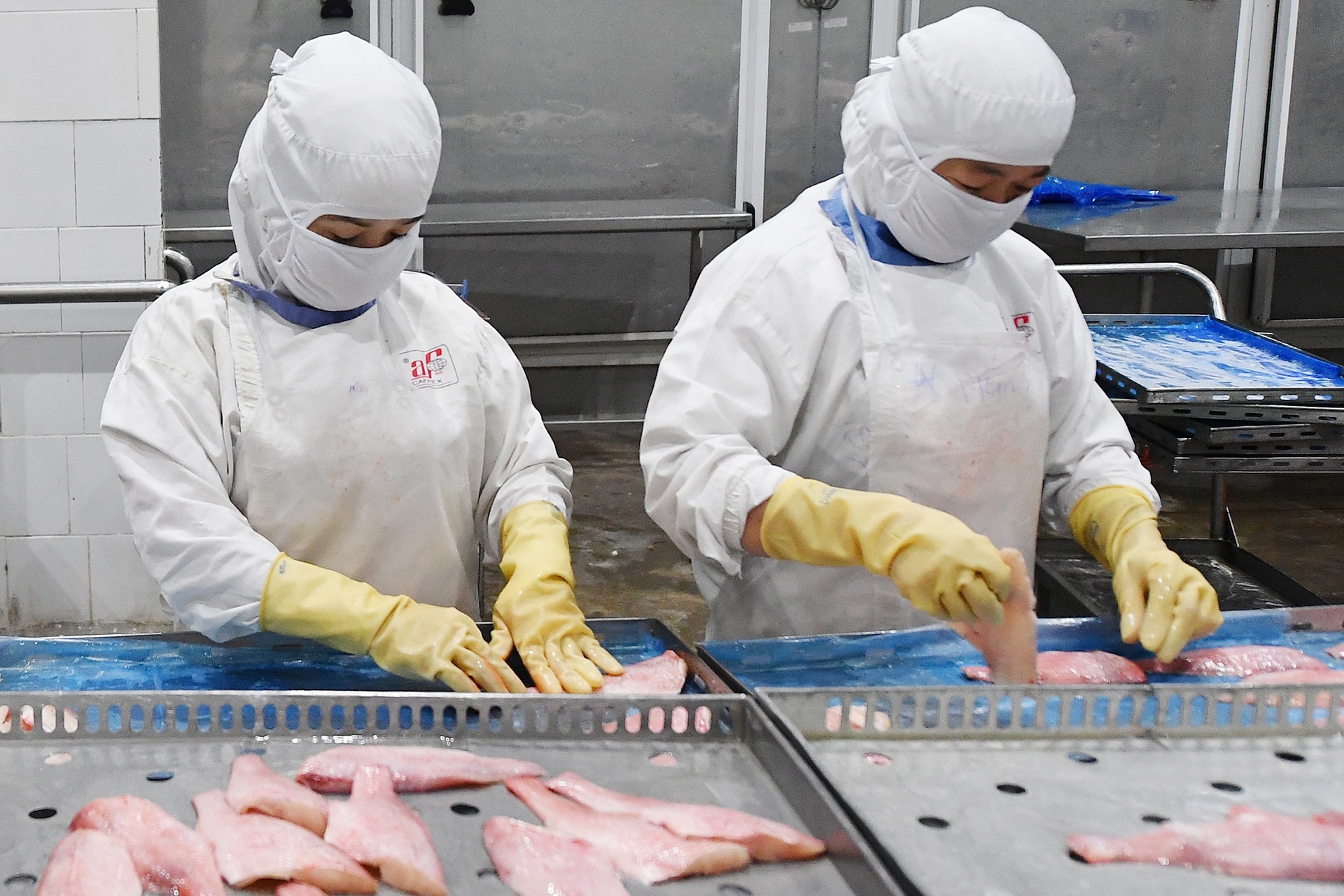 Doanh nghiep o Tien Giang keu cuu vi bi ngung san xuat dot ngot anh 1