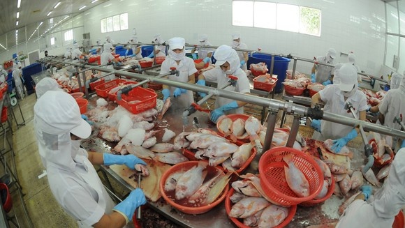 Xuat khau nong san Viet Nam ve dich truoc 1 thang hinh anh