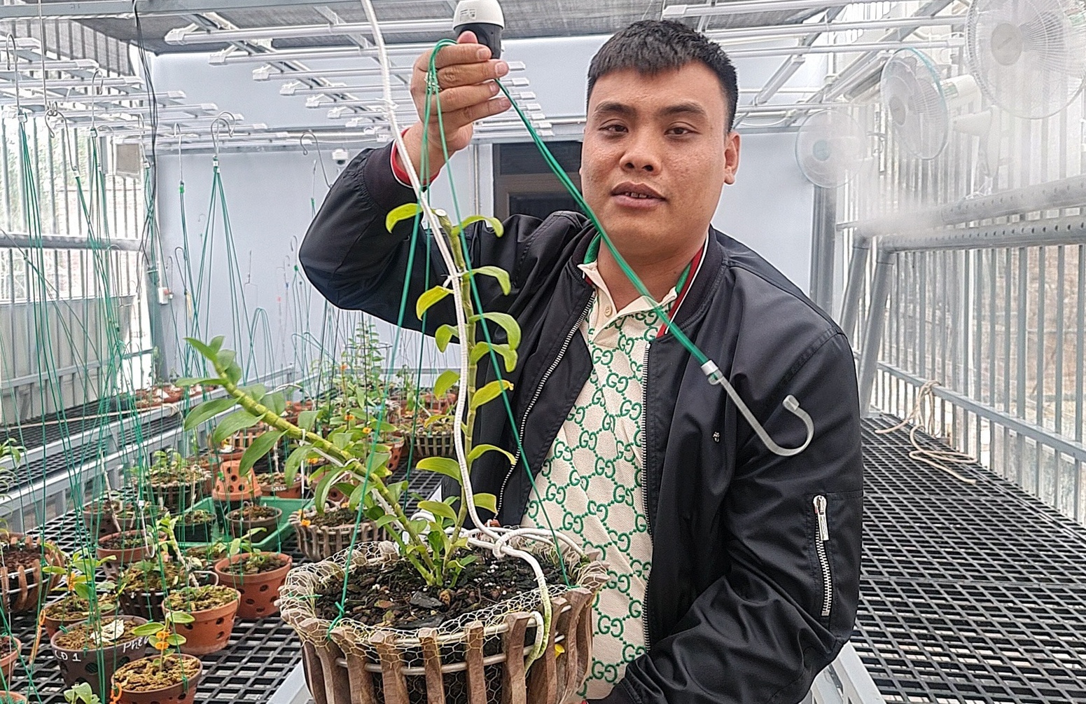 Ho so cong ty cua chu vuon lan tram ty bi bat vi buon lau than anh 1