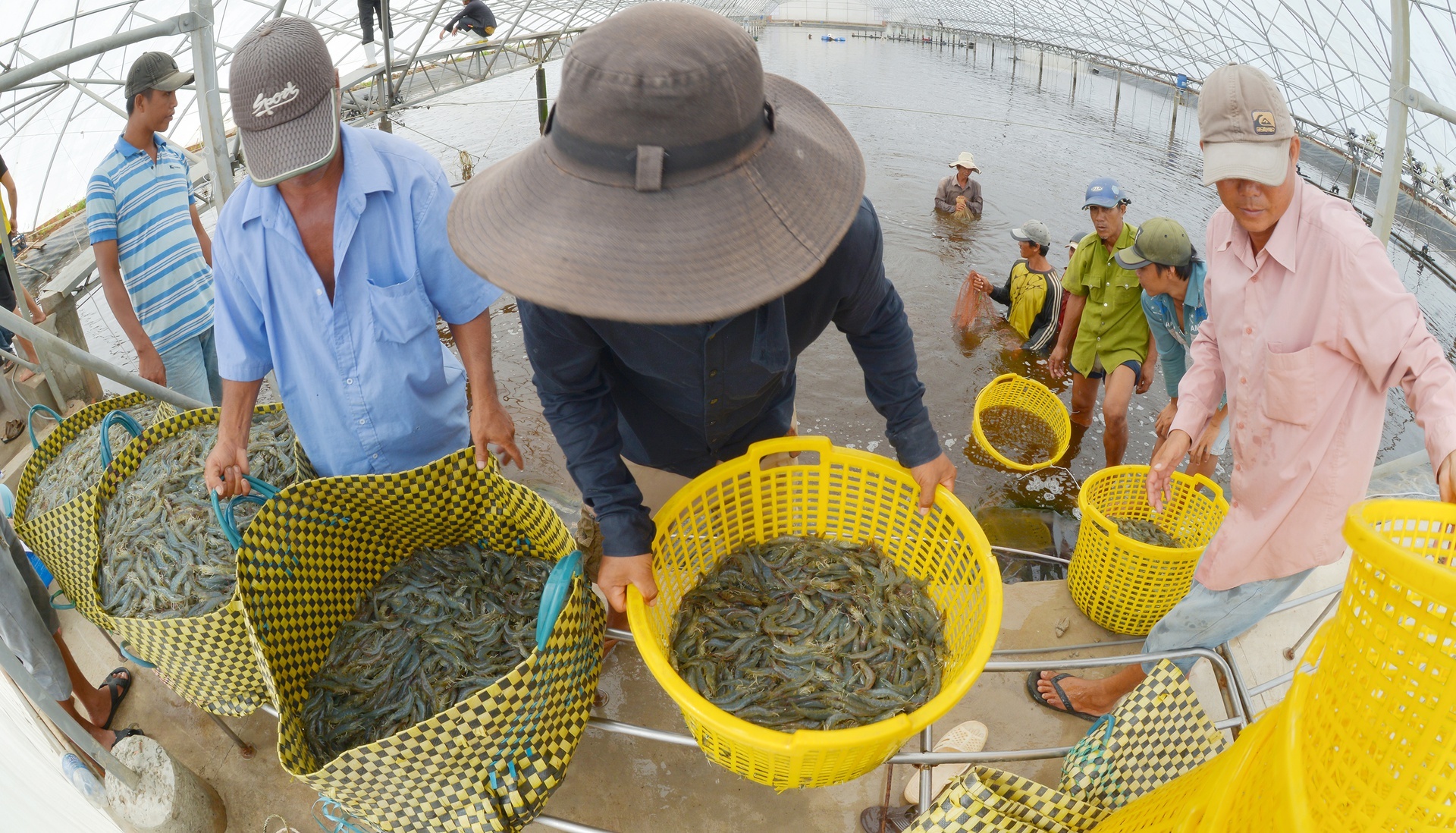 Kho khan bua vay doanh nghiep thuy san hinh anh