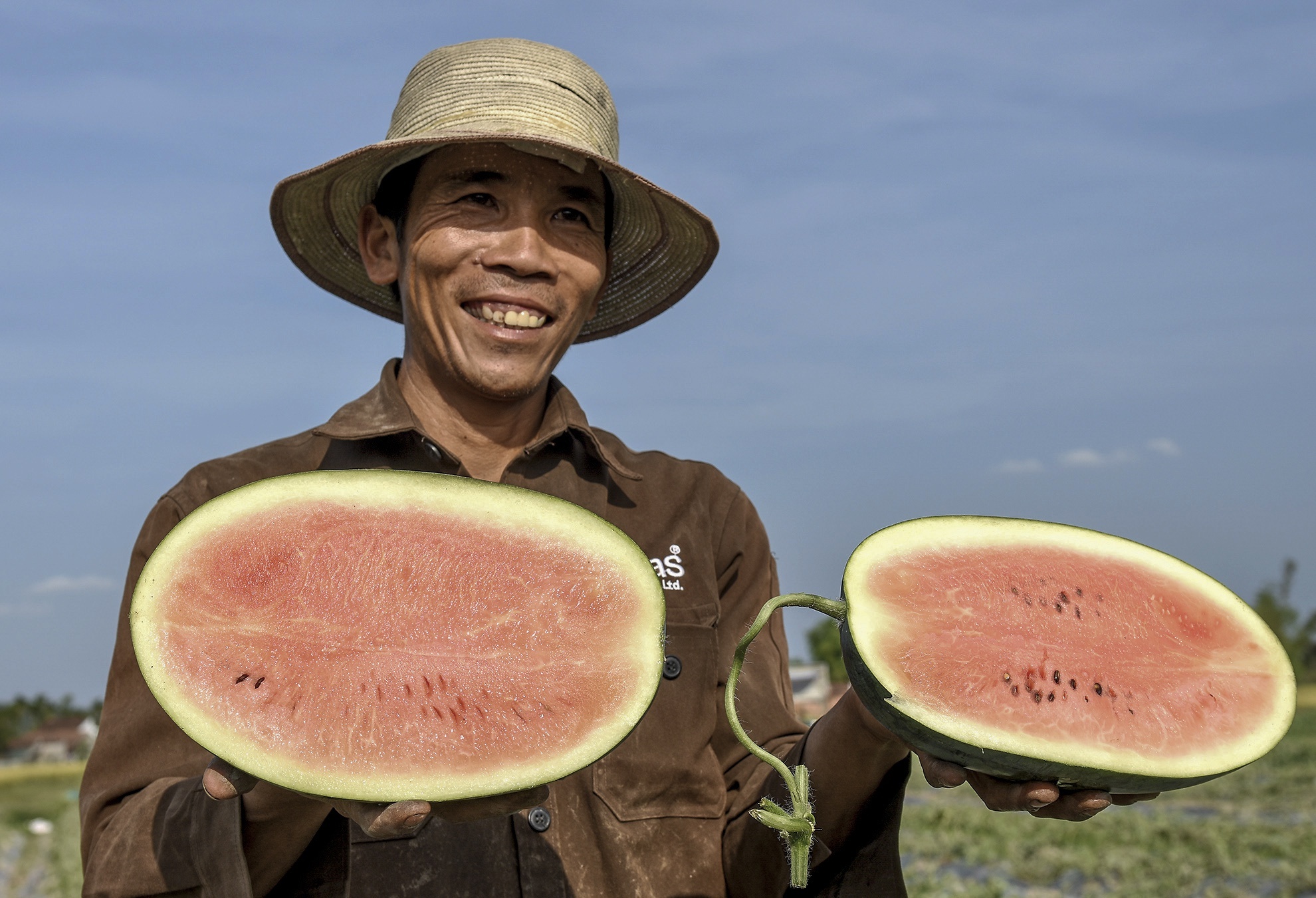 Bo Nong nghiep: Nong dan dang lang phi hat xoai, vo dua hau, rom ra hinh anh