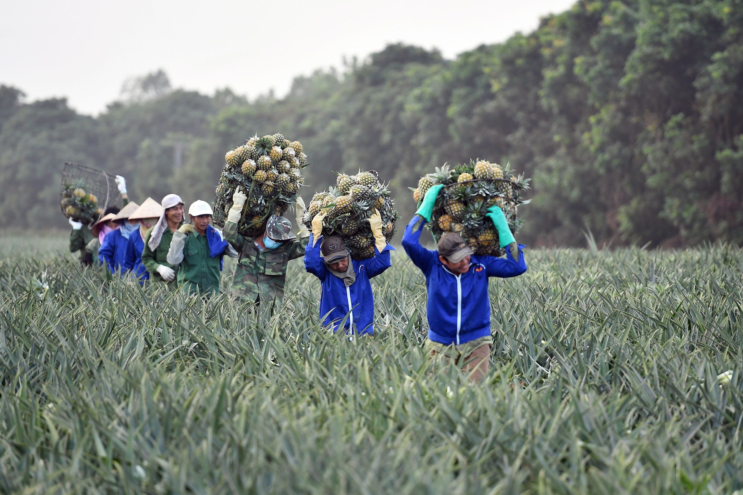 Nguoi tiem du 2 mui vaccine duoc san xuat,  luu thong hang hoa anh 1