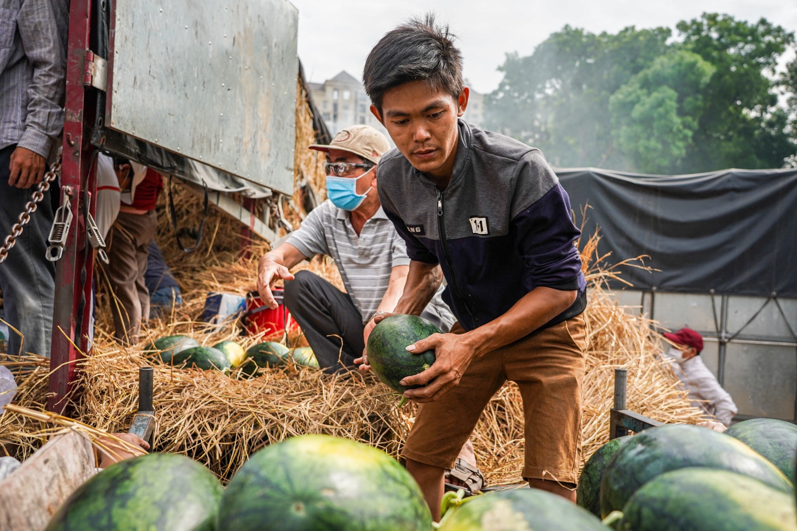 Viet Nam bo phi ca tram trieu tan vo dua hau, rom ra hinh anh