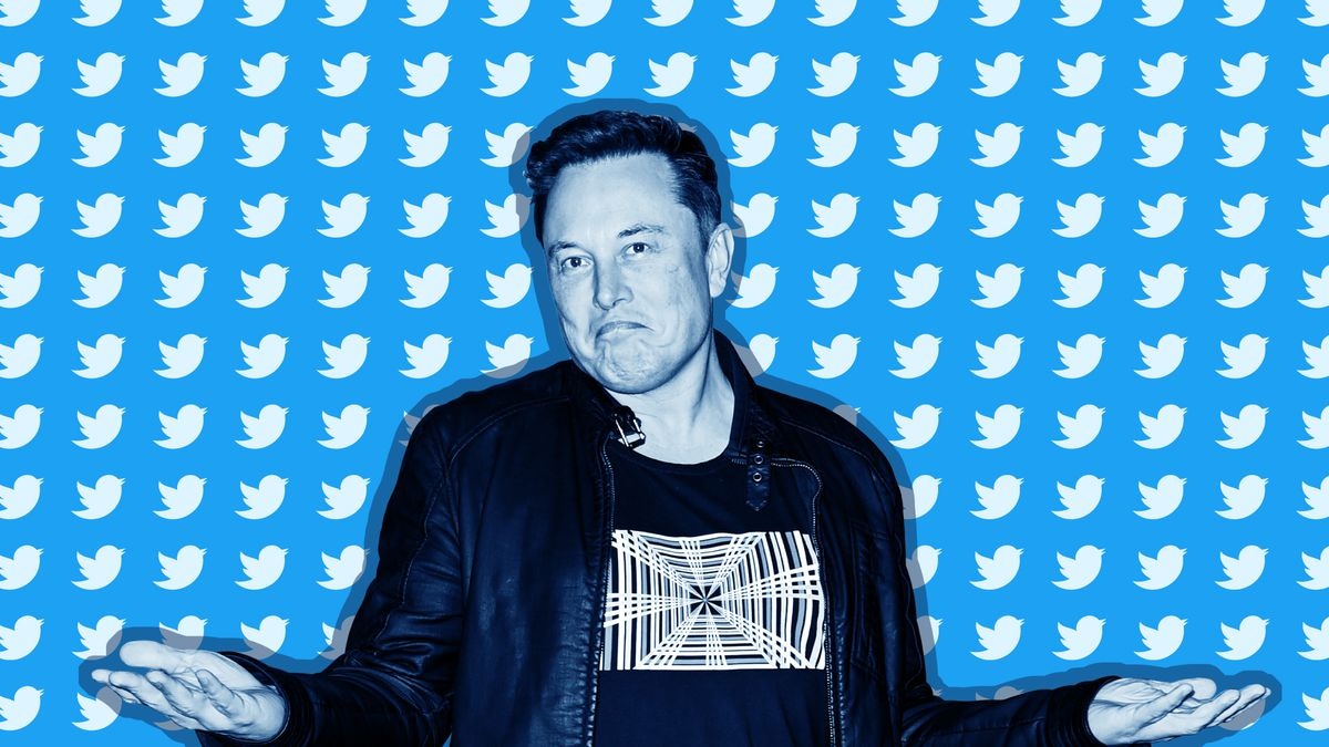 Twitter duoi thoi cua Elon Musk se ra sao? hinh anh
