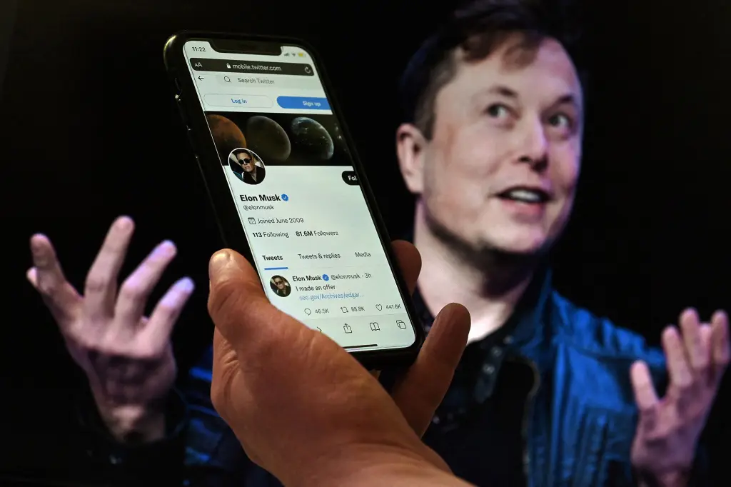 Twitter do loi cho Elon Musk anh 1