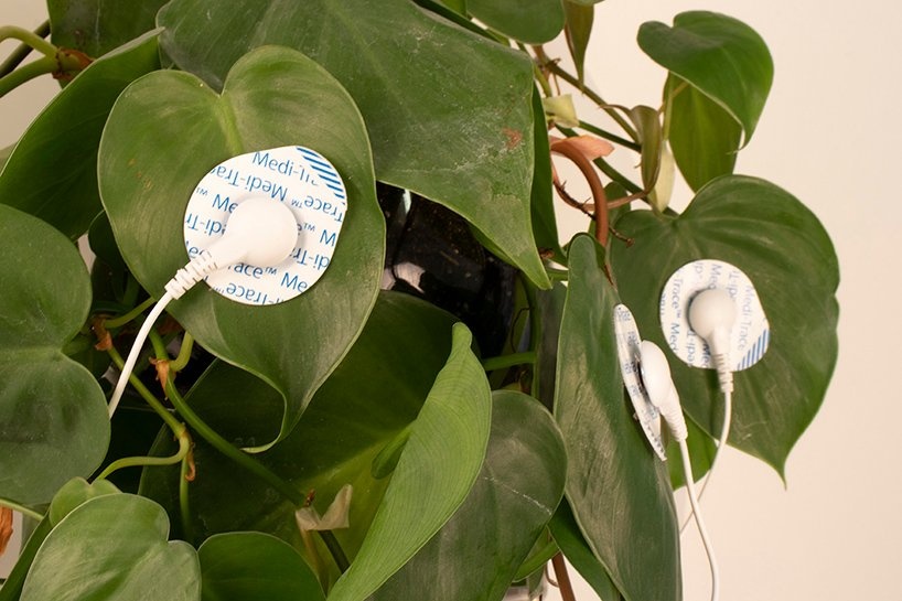 Cay dieu khien robot anh 4