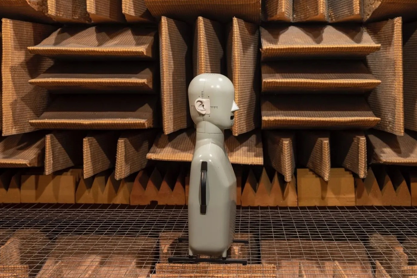 Can phong im lang nhat Trai Dat co the khien nguoi ben trong phat dien hinh anh