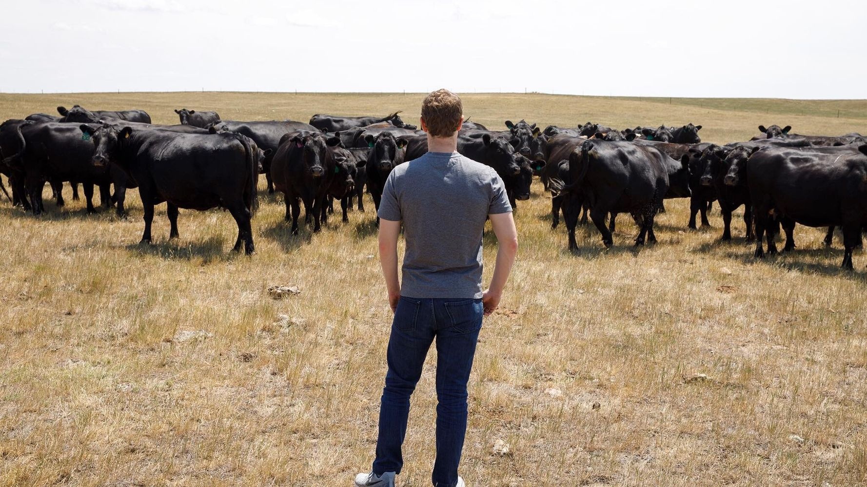 Elon Musk an uong anh 2