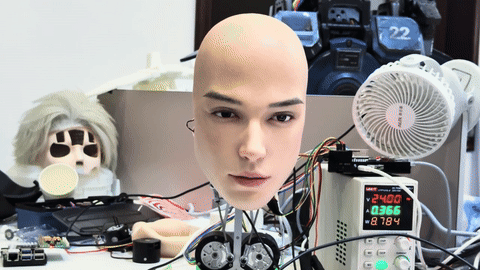 Robot dang so anh 1