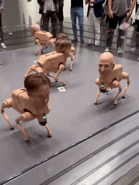 Elon Musk anh 2