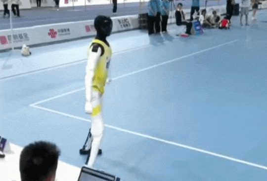Robot ảnh 5