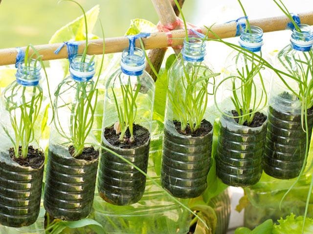 20 cach tai che chai nhua anh 13